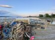 Lobster pods and dock lines on a dock overlooking Southwest Harbor, Maine.