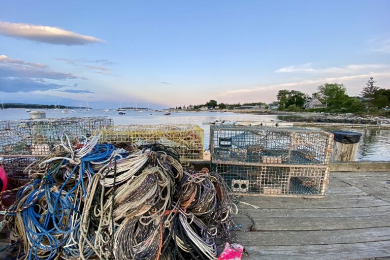 FullSizeRender Lobster pods and dock lines on a dock overlooking Southwest Harbor, Maine.